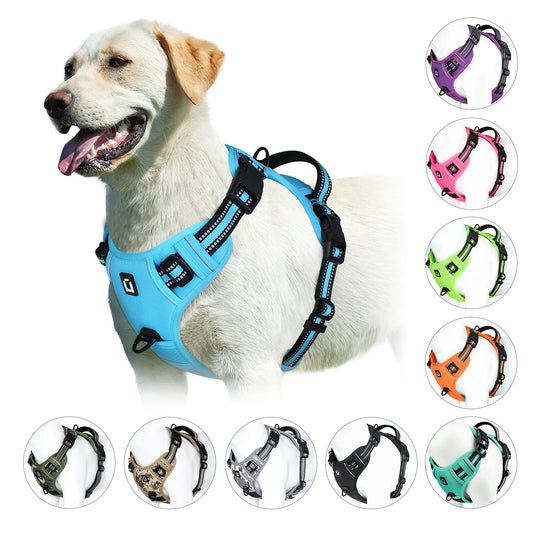 Canilixir Harnais Anti-Traction Rembourré pour Chien — Double Attache, Réglable, du S au XL