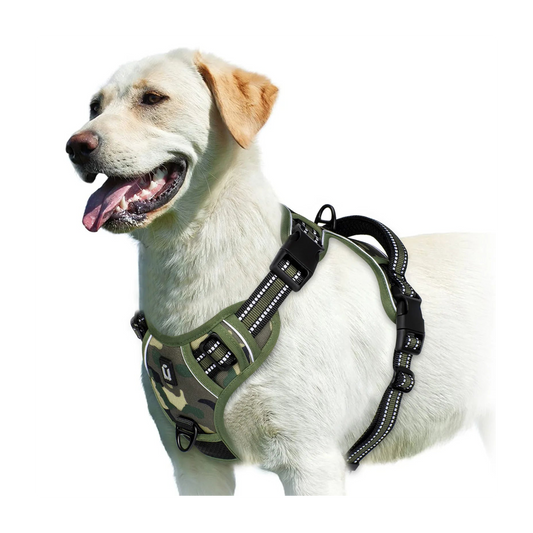 Harnais Anti-Traction pour Chien